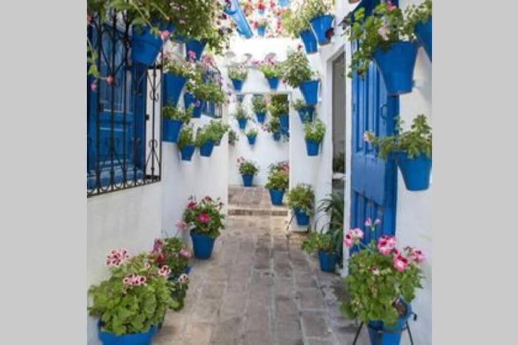 Corredera House. Pleno Centro De Cordoba Leilighet Eksteriør bilde